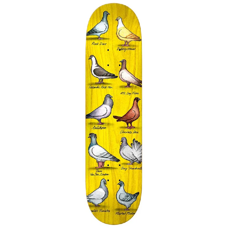 Skateboard Deck For Long-Term Use-Anti-Hero Daan Show Pigeons Skateboard Deck - 8.38"