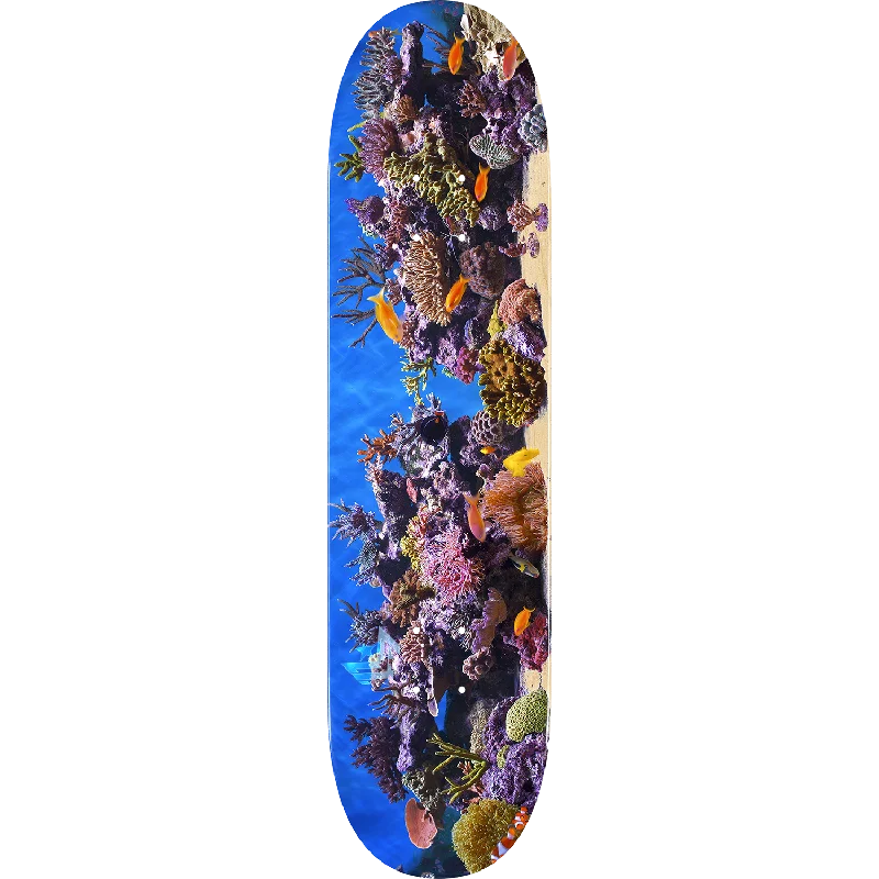 High-Quality Skateboard Deck With Strong Build-Mini Logo Fish Tank Skateboard Deck